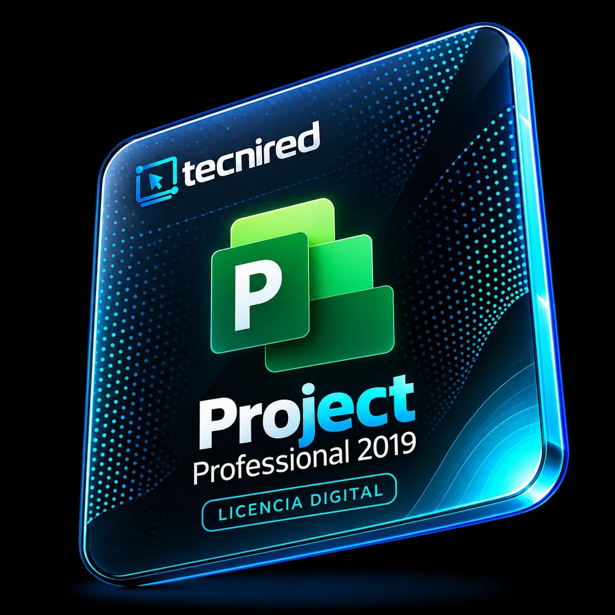 Project