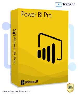 POWER BI PRO - LICENCIA PERMANENTE