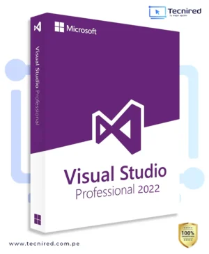 VISUAL STUDIO 2022 PROFESSIONAL KEY